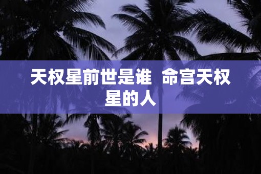 天权星前世是谁  命宫天权星的人