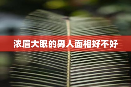 浓眉大眼的男人面相好不好
