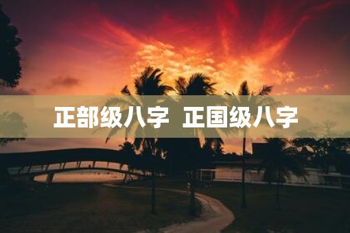 正部级八字  正国级八字