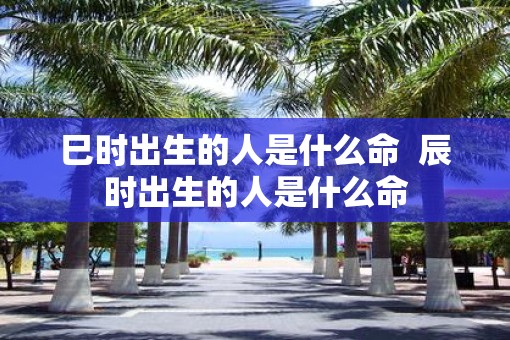 巳时出生的人是什么命  辰时出生的人是什么命