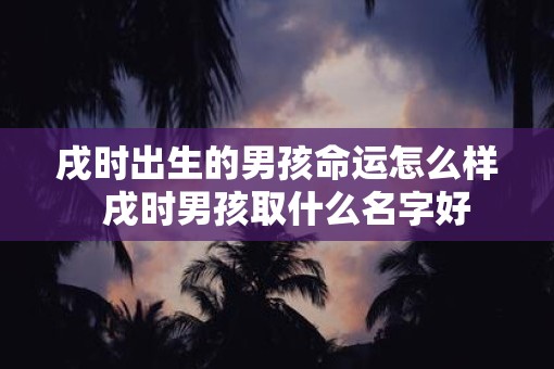 戌时出生的男孩命运怎么样  戌时男孩取什么名字好