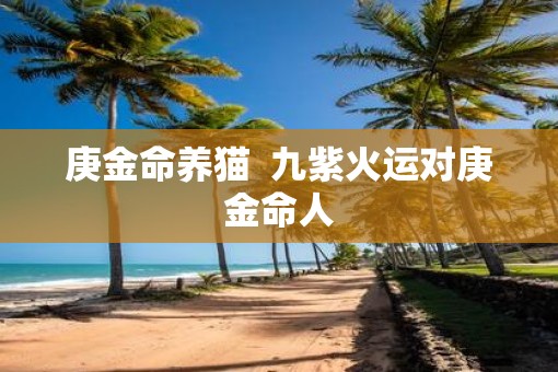 庚金命养猫 九紫火运对庚金命人 庚金命养猫 九紫火运对庚金命人