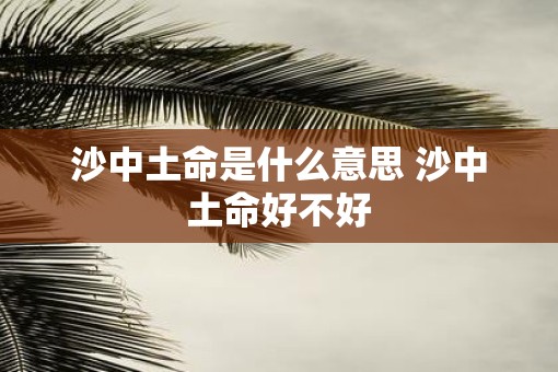 沙中土命是什么意思 沙中土命好不好