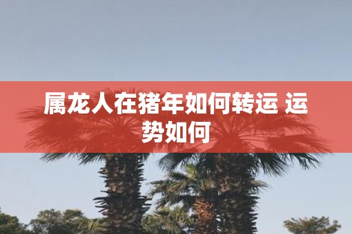 属龙人在猪年如何转运 运势如何