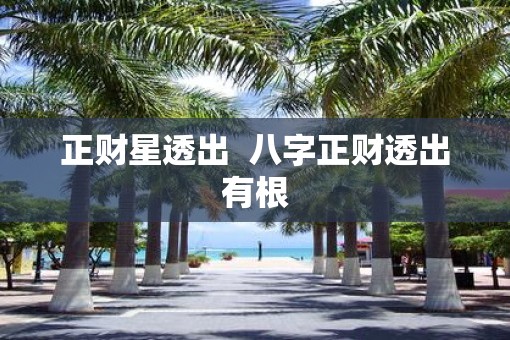 正财星透出  八字正财透出有根