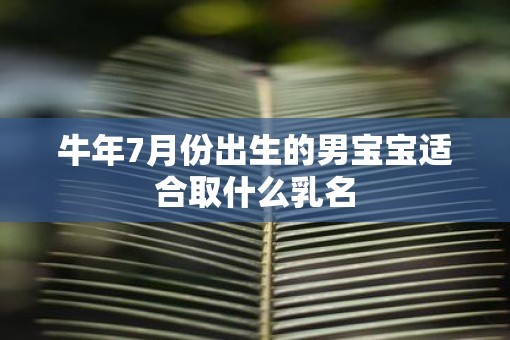 牛年7月份出生的男宝宝适合取什么乳名