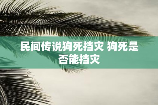民间传说狗死挡灾 狗死是否能挡灾 民间传说狗死挡灾 狗死是否能挡灾