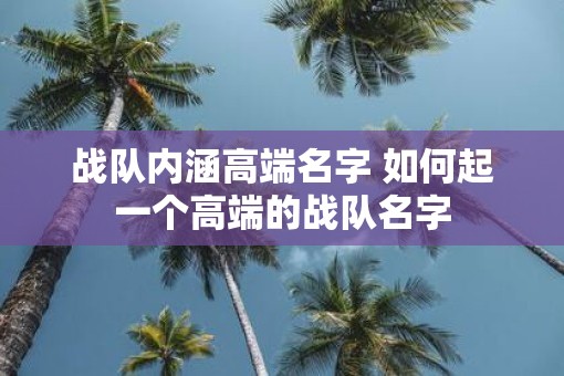 战队内涵高端名字 如何起一个高端的战队名字
