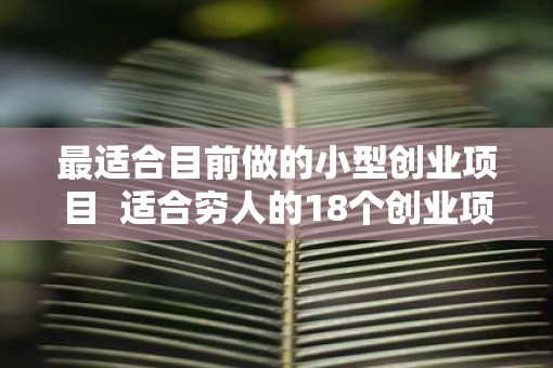 最适合目前做的小型创业项目  适合穷人的18个创业项目投资小
