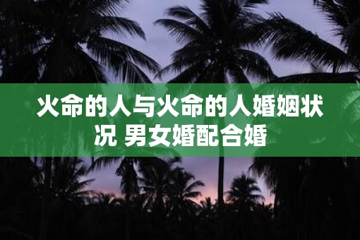 火命的人与火命的人婚姻状况 男女婚配合婚