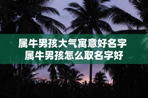 属牛男孩大气寓意好名字 属牛男孩怎么取名字好