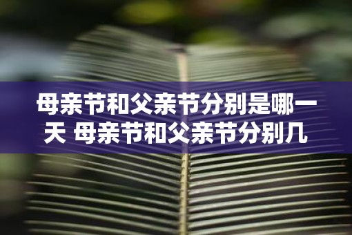 母亲节和父亲节分别是哪一天 母亲节和父亲节分别几号