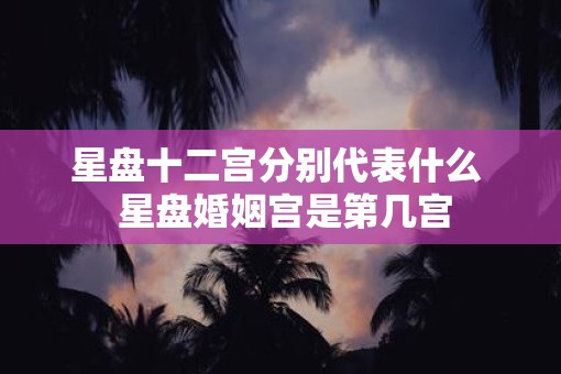星盘十二宫分别代表什么  星盘婚姻宫是第几宫