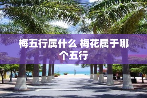 梅五行属什么 梅花属于哪个五行