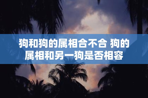 狗和狗的属相合不合 狗的属相和另一狗是否相容
