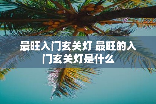 最旺入门玄关灯 最旺的入门玄关灯是什么