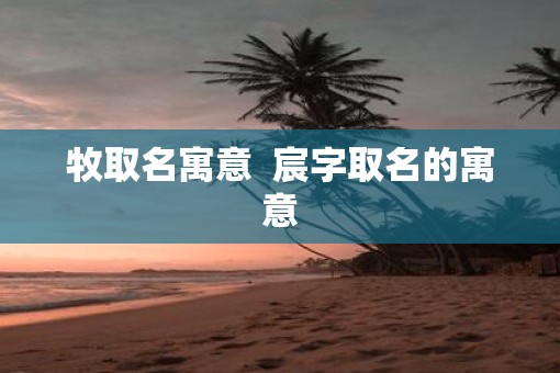 牧取名寓意  宸字取名的寓意