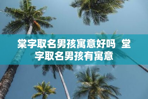 棠字取名男孩寓意好吗  堂字取名男孩有寓意