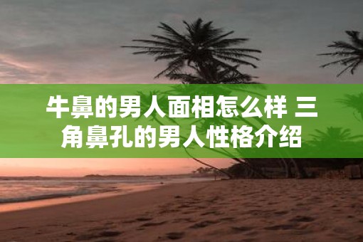牛鼻的男人面相怎么样 三角鼻孔的男人性格介绍