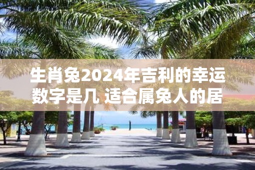 生肖兔2025年吉利的幸运数字是几 适合属兔人的居住楼层