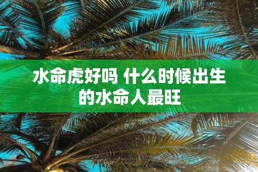 水命虎好吗 什么时候出生的水命人最旺