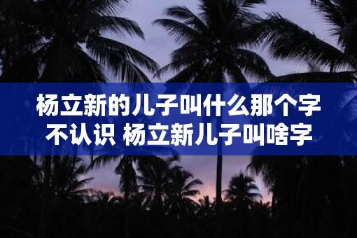 杨立新的儿子叫什么那个字不认识 杨立新儿子叫啥字