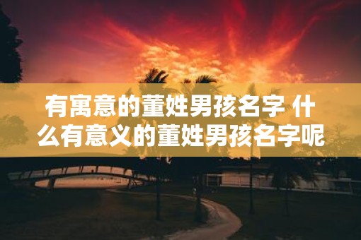 有寓意的董姓男孩名字 什么有意义的董姓男孩名字呢