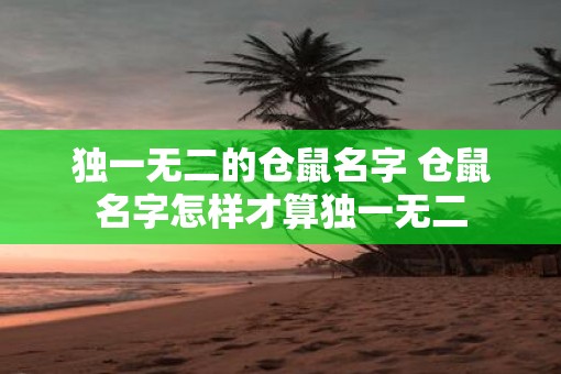 独一无二的仓鼠名字 仓鼠名字怎样才算独一无二