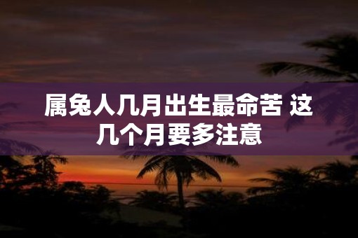 属兔人几月出生最命苦 这几个月要多注意