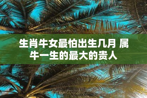 生肖牛女最怕出生几月 属牛一生的最大的贵人
