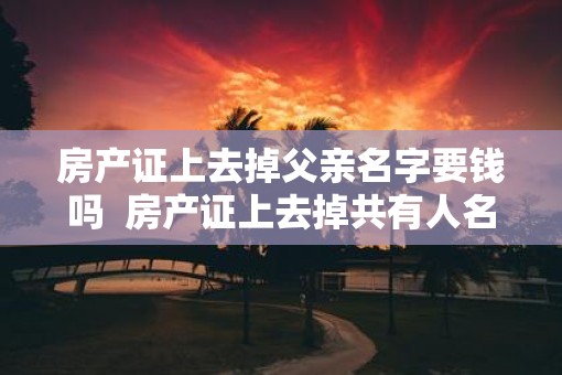 房产证上去掉父亲名字要钱吗  房产证上去掉共有人名字