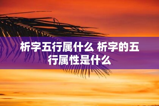 析字五行属什么 析字的五行属性是什么