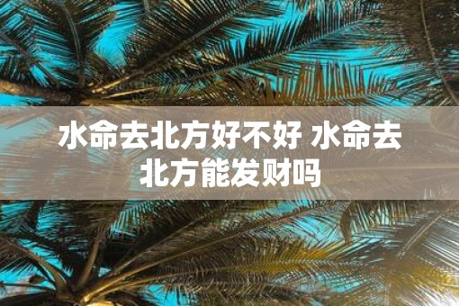 水命去北方好不好 水命去北方能发财吗