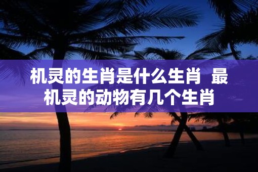 机灵的生肖是什么生肖  最机灵的动物有几个生肖