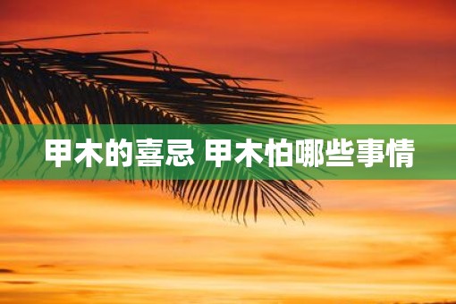 甲木的喜忌 甲木怕哪些事情