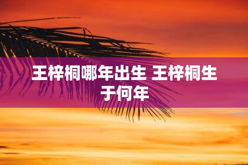 王梓桐哪年出生 王梓桐生于何年