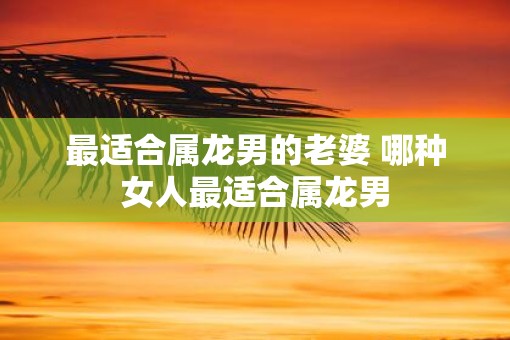 最适合属龙男的老婆 哪种女人最适合属龙男