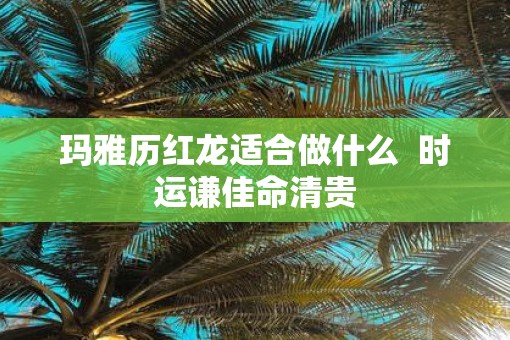 玛雅历红龙适合做什么  时运谦佳命清贵