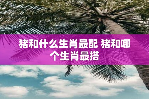 猪和什么生肖最配 猪和哪个生肖最搭