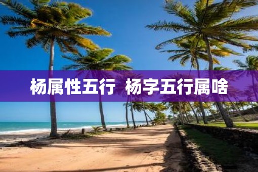杨属性五行  杨字五行属啥
