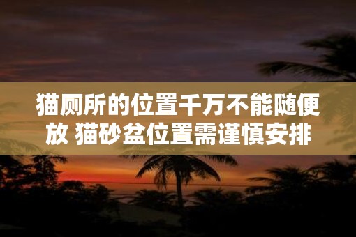 猫厕所的位置千万不能随便放 猫砂盆位置需谨慎安排