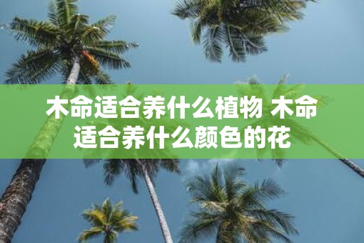 木命适合养什么植物 木命适合养什么颜色的花