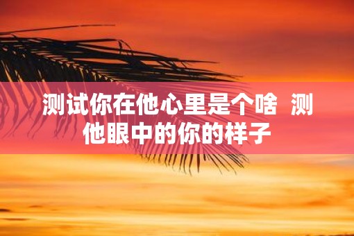 测试你在他心里是个啥  测他眼中的你的样子