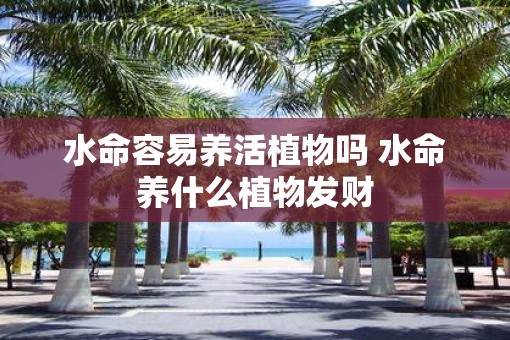 水命容易养活植物吗 水命养什么植物发财