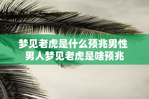 梦见老虎是什么预兆男性 男人梦见老虎是啥预兆