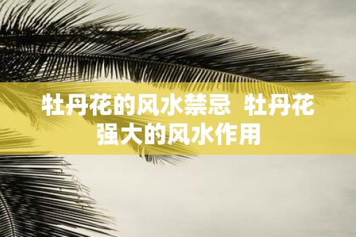 牡丹花的风水禁忌  牡丹花强大的风水作用