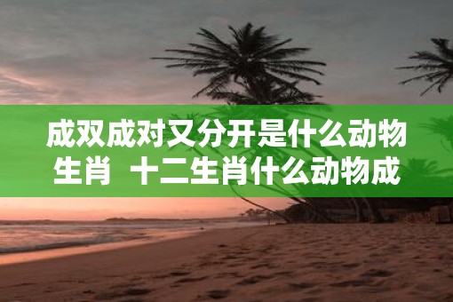 成双成对又分开是什么动物生肖  十二生肖什么动物成双成对
