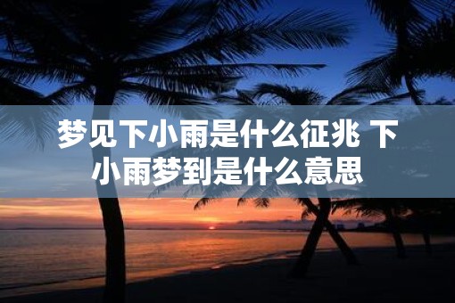 梦见下小雨是什么征兆 下小雨梦到是什么意思