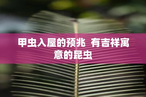 甲虫入屋的预兆  有吉祥寓意的昆虫