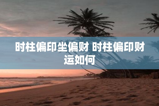 时柱偏印坐偏财 时柱偏印财运如何